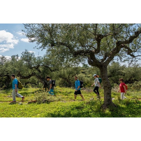 30/12 & 7/01 Πεζοπορία και Φαγητό στον ΤΑΫΓΕΤΟ - 30/12 & 7/01 Hiking and Lunch on Mount Taygetos (Artemisia)